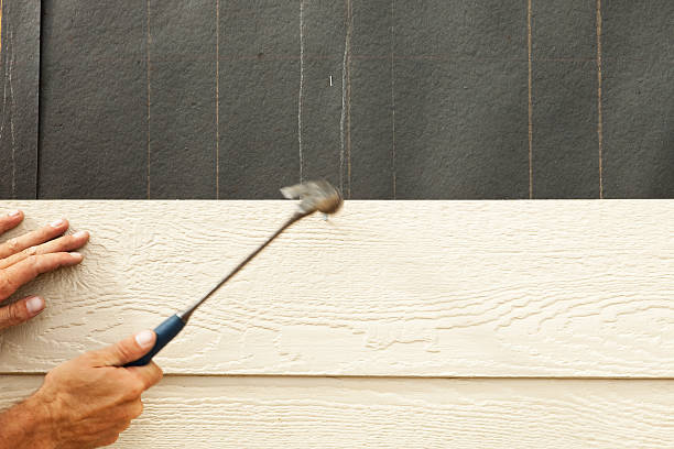 Best Storm Damage Siding Repair  in Aspen, CO